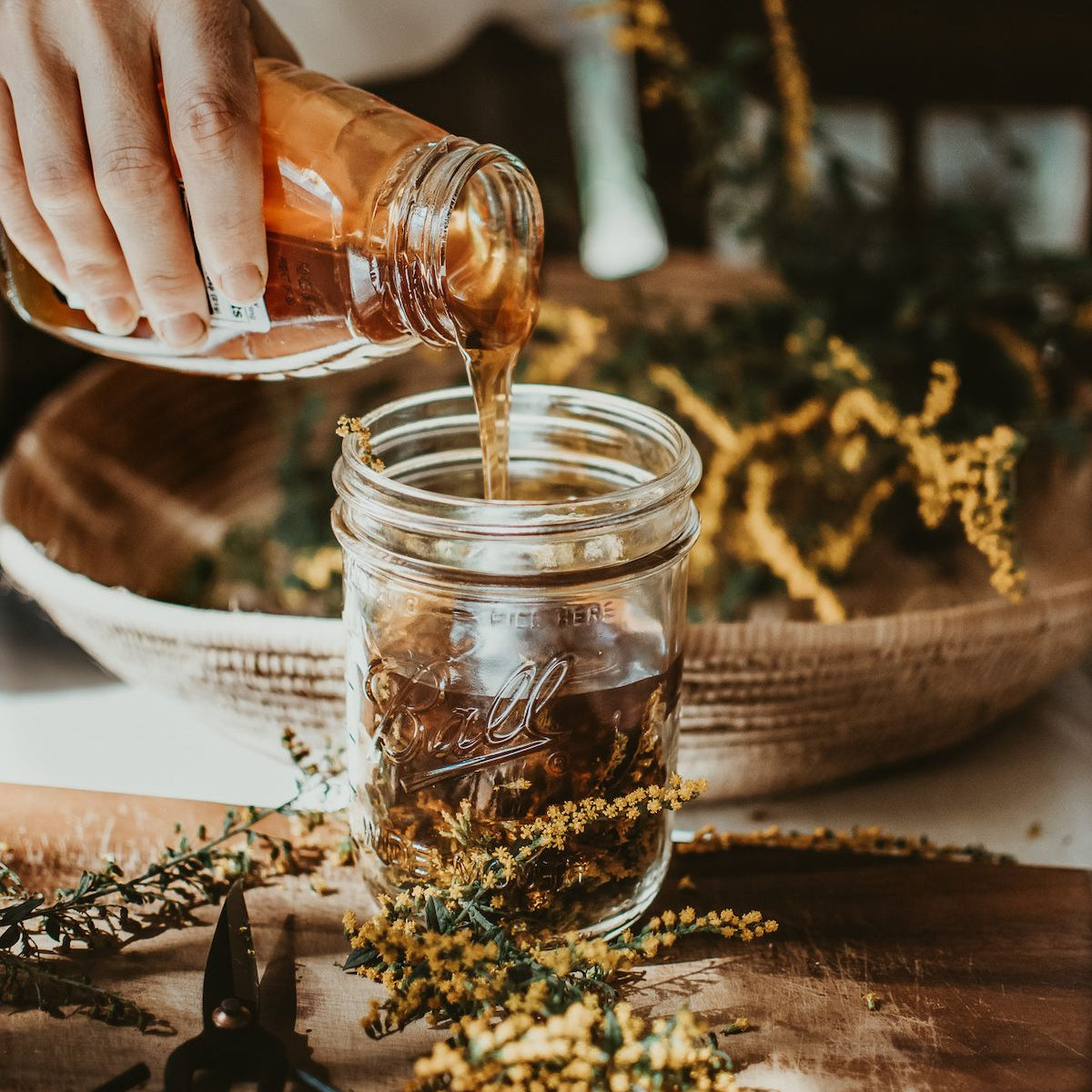 Herbalismo na Cozinha - em breve